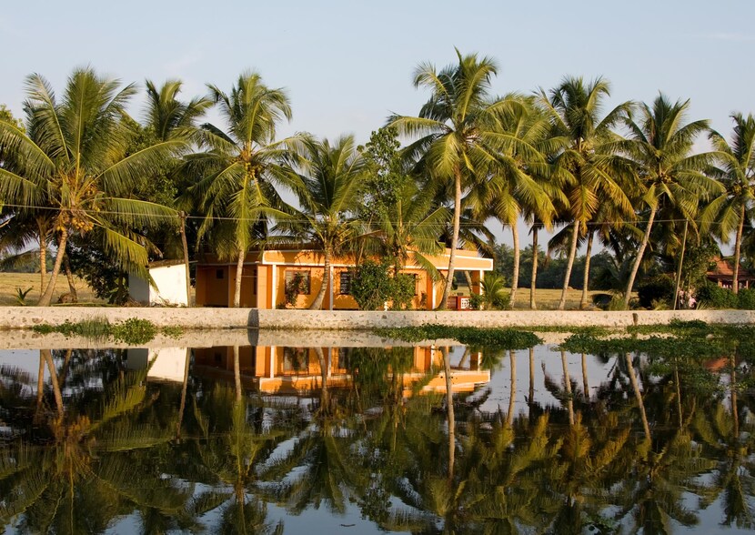 Large-Views-on-Kerela-Backwaters