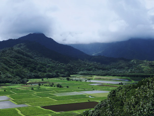 Scenic Orissa