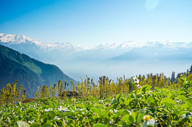 Uttarakhand Hills