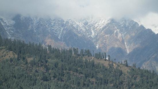 hadimba-devi-mandir