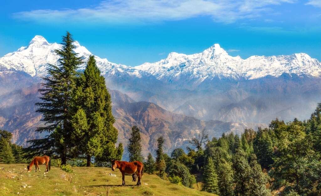 munsiyari-uttarakand-india